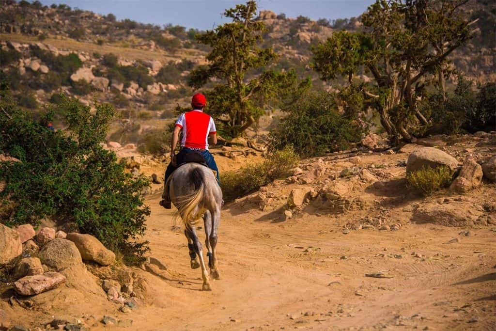 Horse rides, Al Amariyah, Saudi Arabia